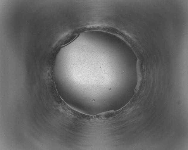 X0000054421351200508121740