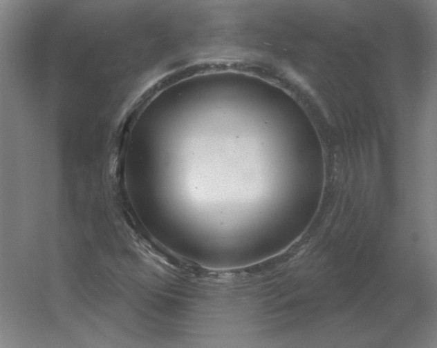 X0000054421352200508121740