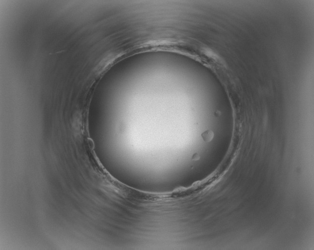 X0000054421353200508121740