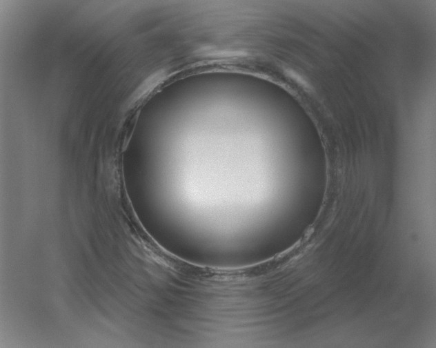 X0000054421354200508121740