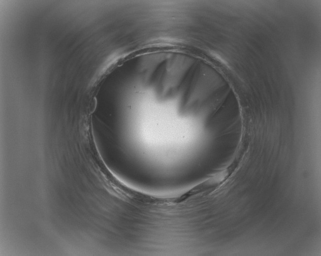 X0000054421355200508121740