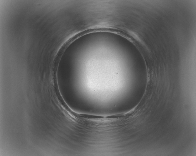 X0000054421356200508121740