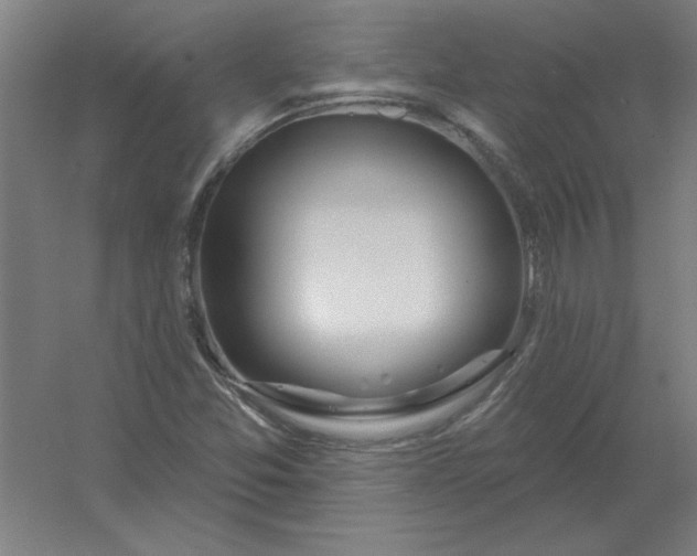 X0000054421357200508121740