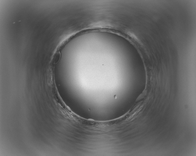 X0000054421358200508121740