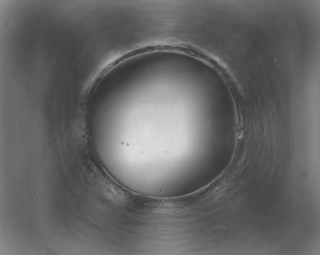 X0000054421359200508121740