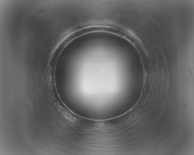 X0000054421360200508121740