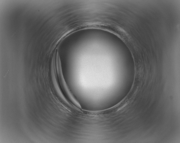 X0000054421361200508121740