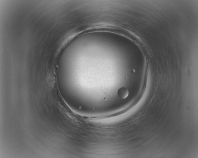 X0000054421363200508121740