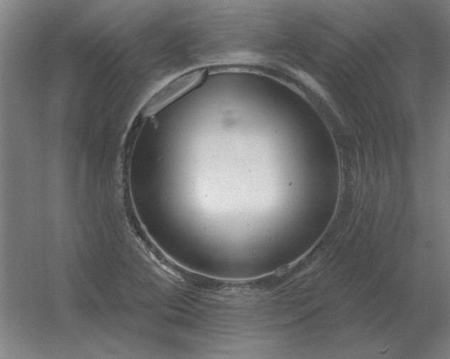 X0000054421364200508121740