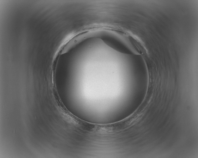 X0000054421365200508121740