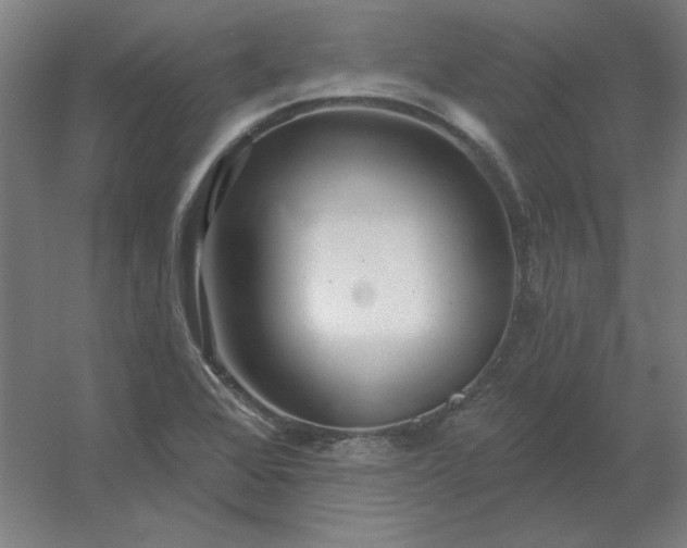 X0000054421368200508121740