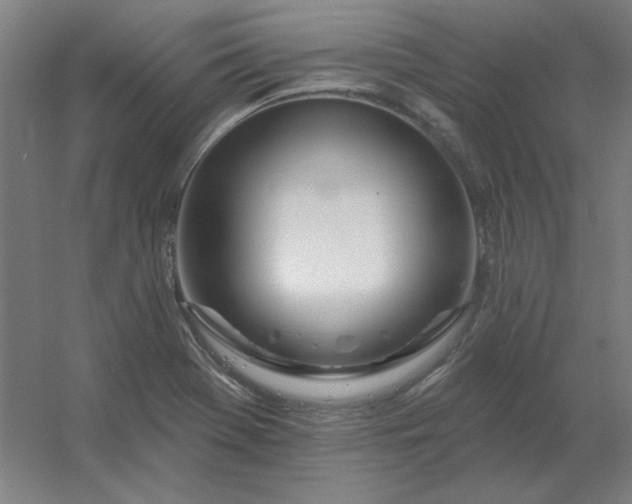 X0000054421369200508121740