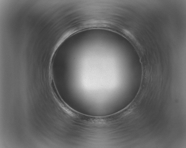 X0000054421370200508121740