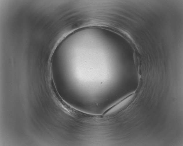 X0000054421371200508121740