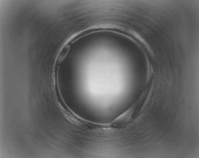 X0000054421372200508121740