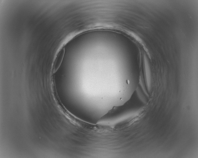 X0000054421373200508121740