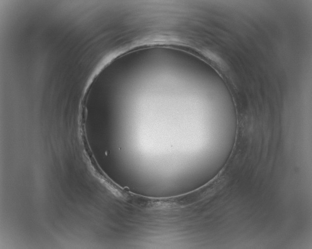 X0000054421374200508121740