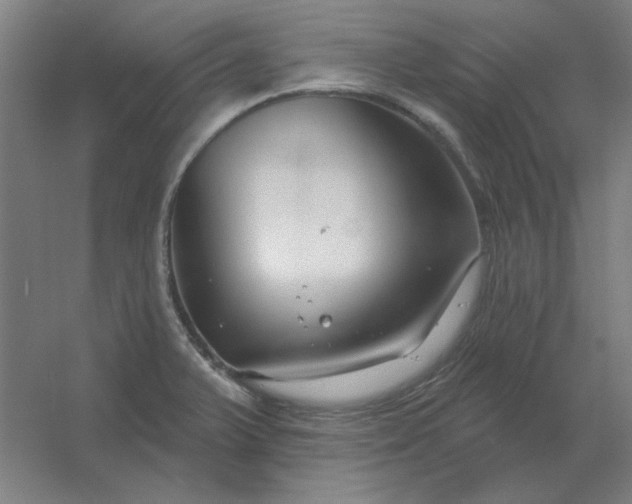 X0000054421375200508121740