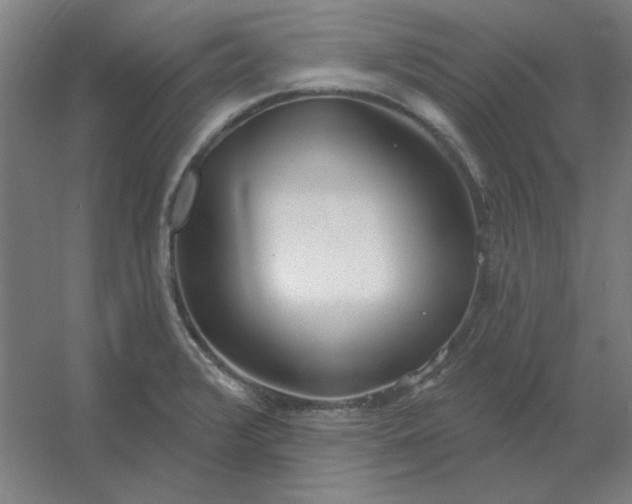 X0000054421376200508121740