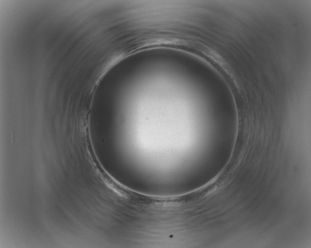 X0000054421377200508121740