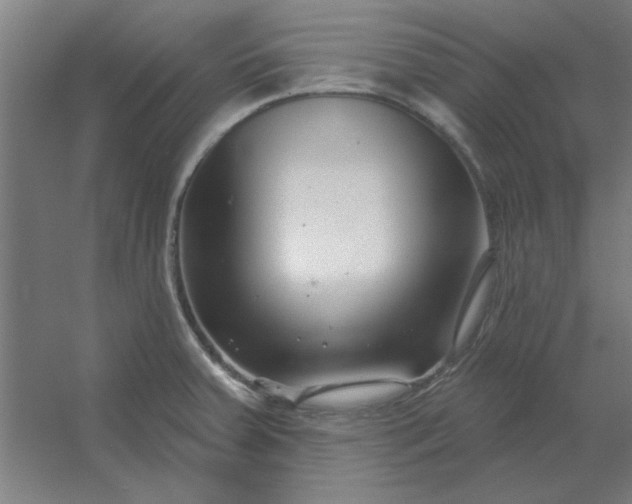 X0000054421379200508121740