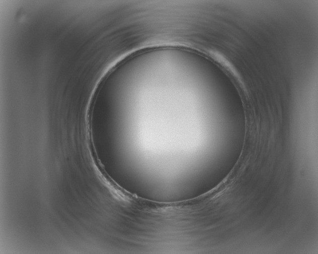 X0000054421380200508121740