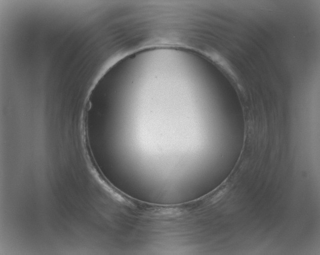 X0000054421382200508121740