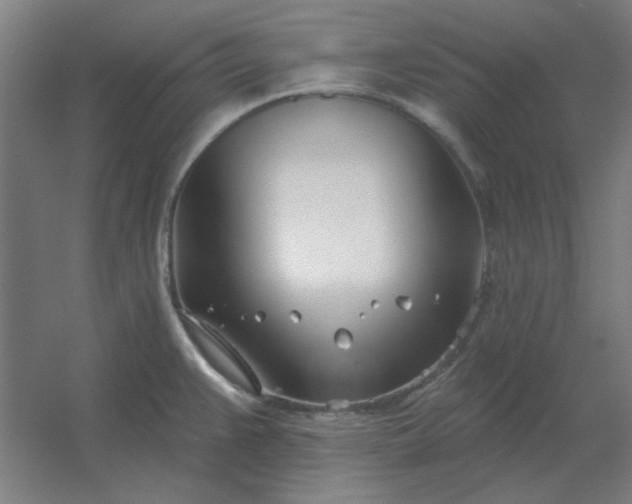 X0000054421383200508121740