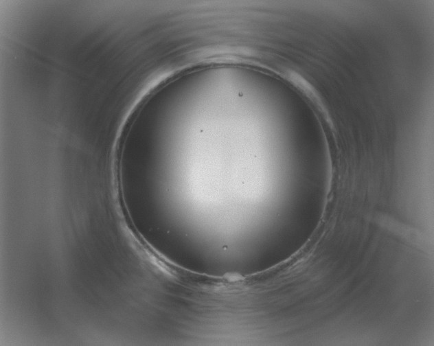 X0000054421384200508121740