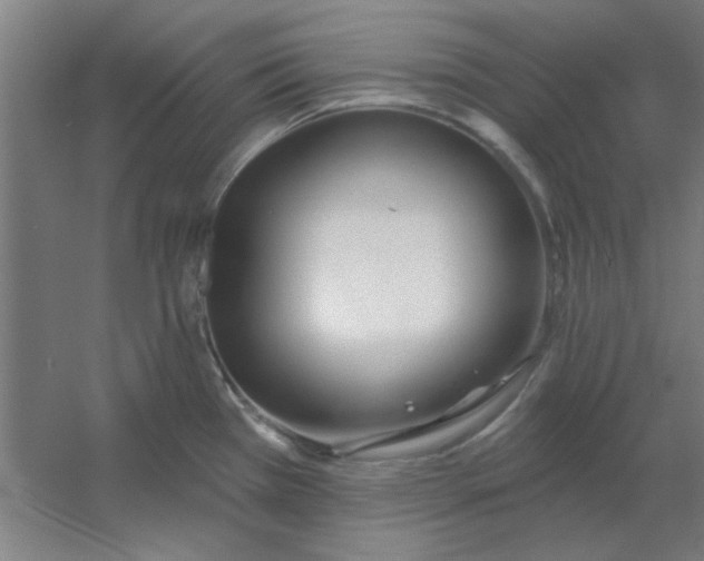 X0000054421385200508121740