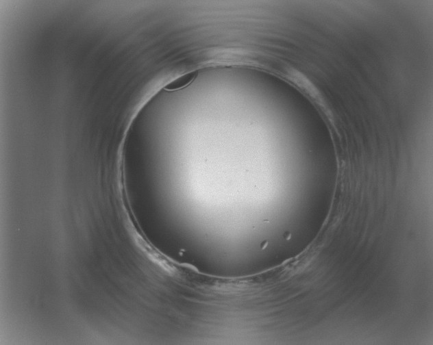 X0000054421386200508121740