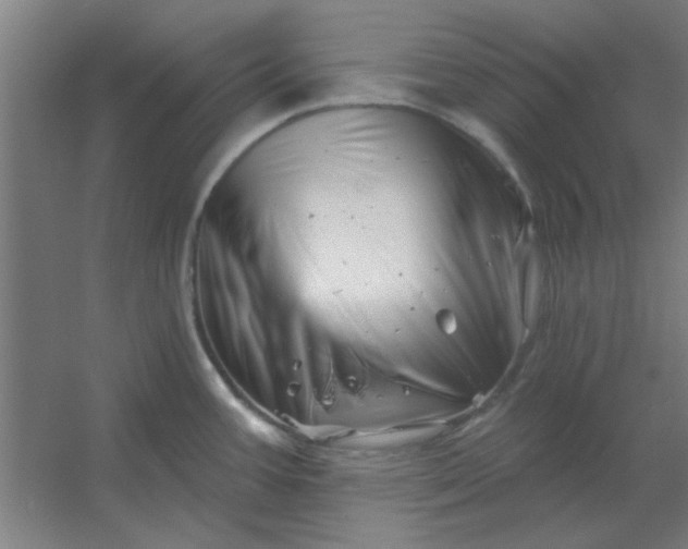 X0000054421387200508121740