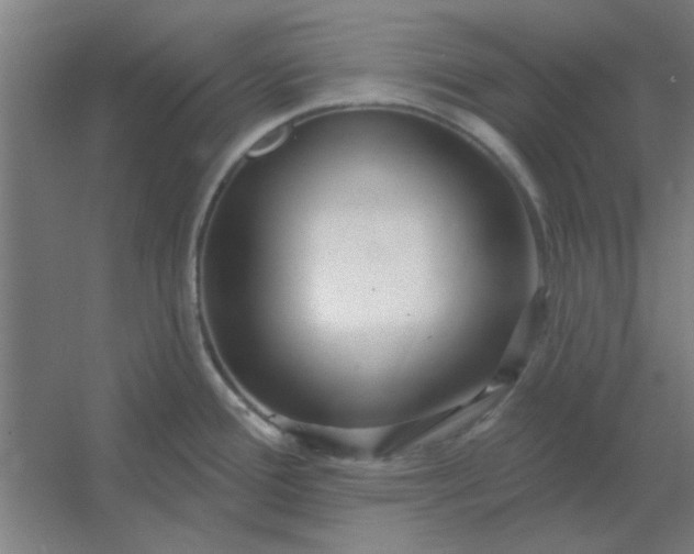 X0000054421388200508121740