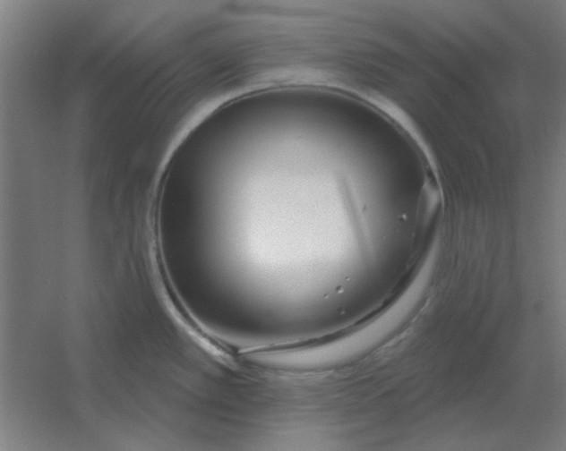 X0000054421389200508121740