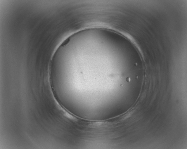 X0000054421390200508121740