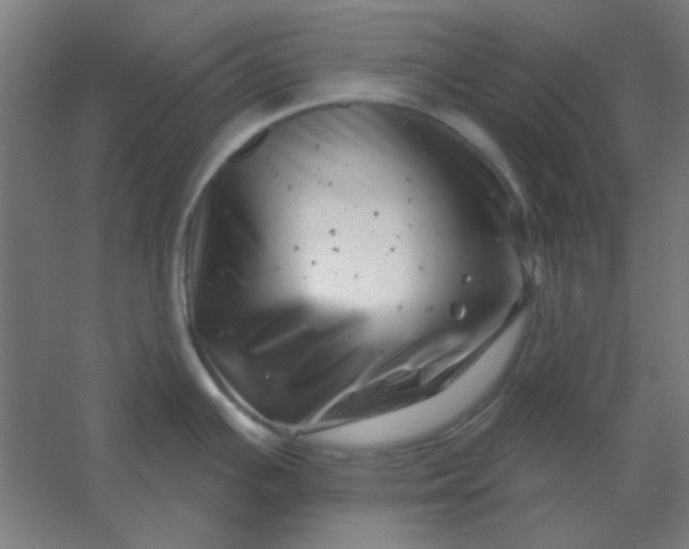 X0000054421391200508121740