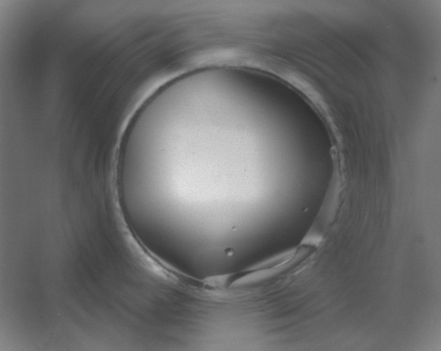 X0000054421392200508121740