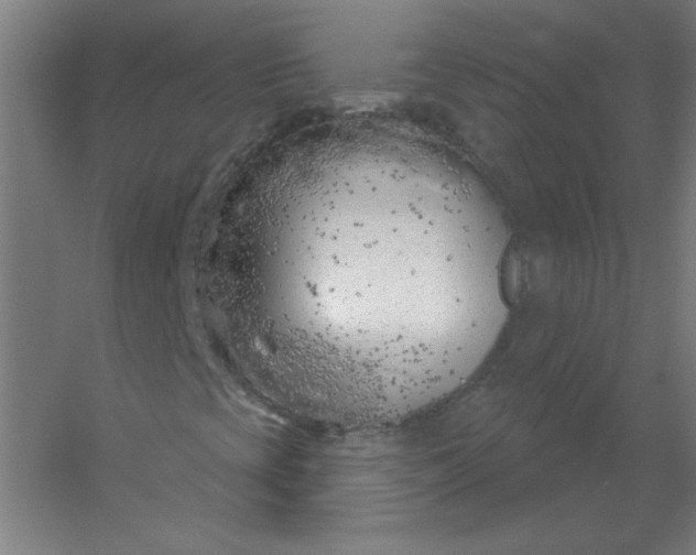 X0000054421393200508121739