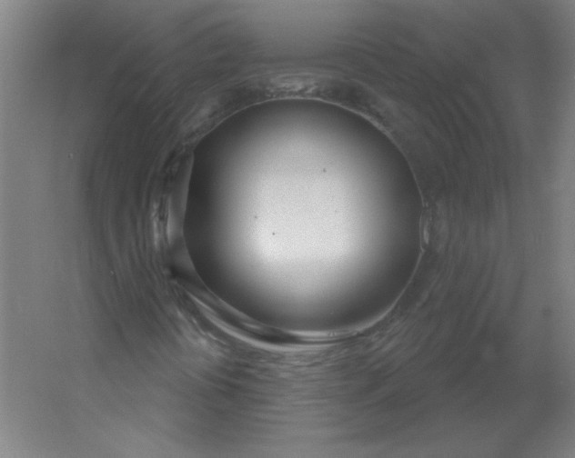 X0000054421394200508121739