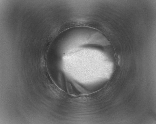 X0000054421395200508121739