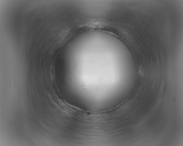 X0000054421396200508121739