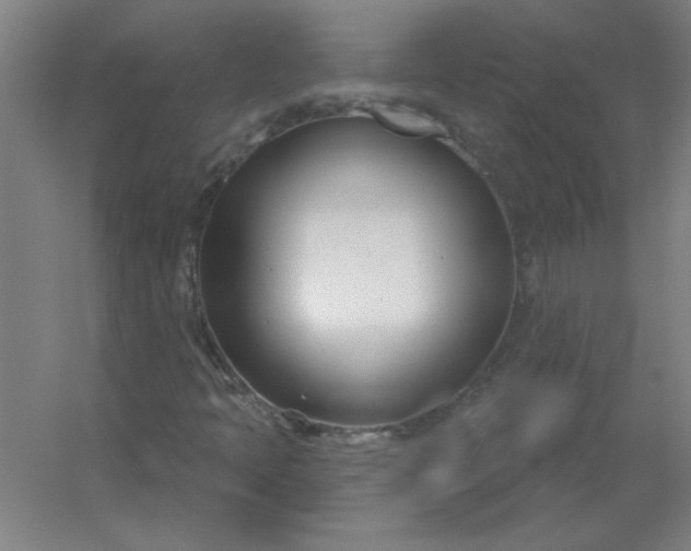 X0000054421397200508121739