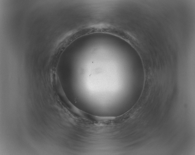 X0000054421398200508121739