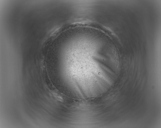 X0000054421399200508121739