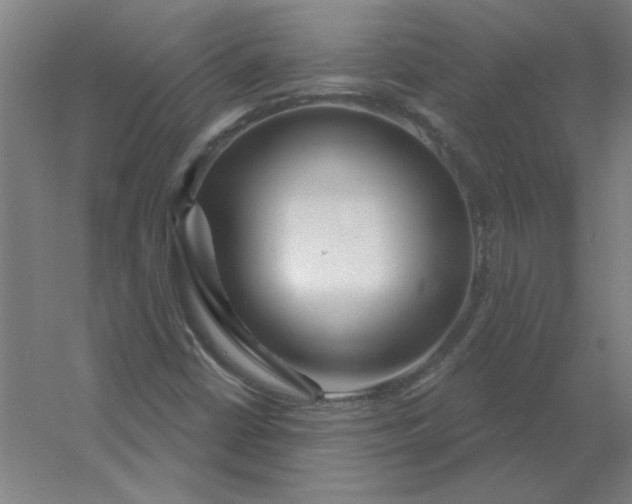 X0000054421402200508121739