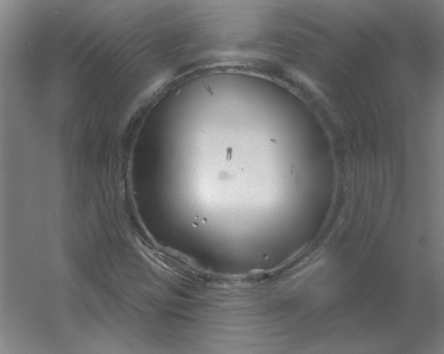 X0000054421403200508121739