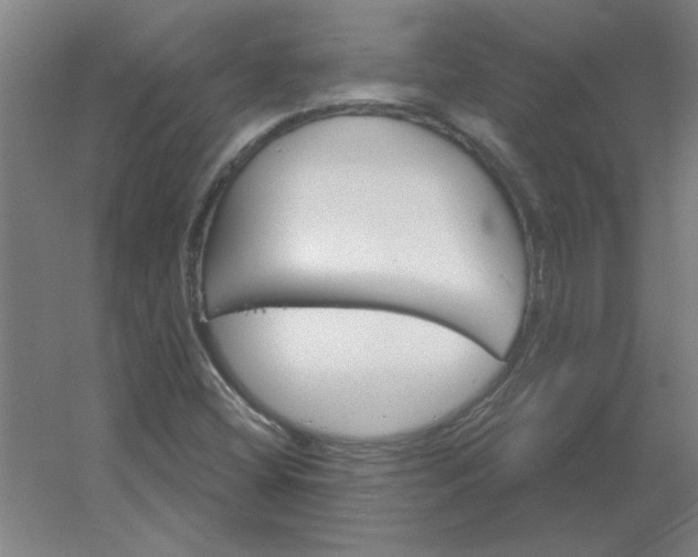 X0000054421404200508121739