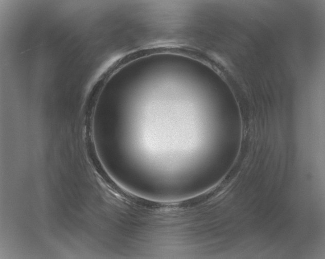 X0000054421406200508121739