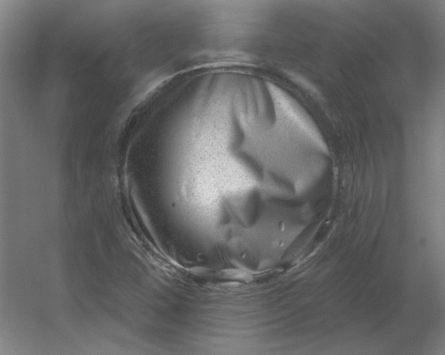 X0000054421407200508121739