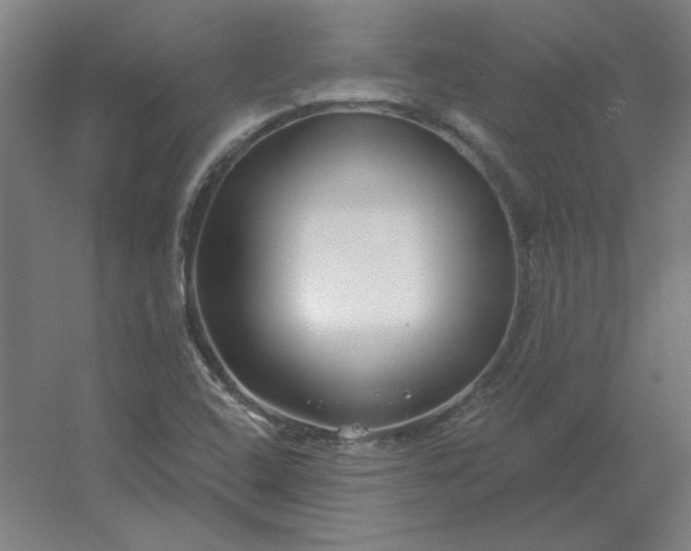 X0000054421408200508121739